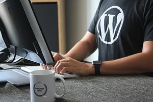 Webgiant Webbyrå utför tjänsten Wordpress